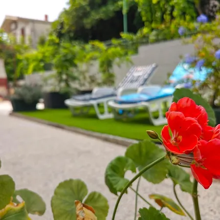Apartment Adriana Seget Vranjica