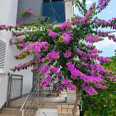 Adriana Apartmán Seget Vranjica